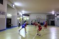 Basket 443060
